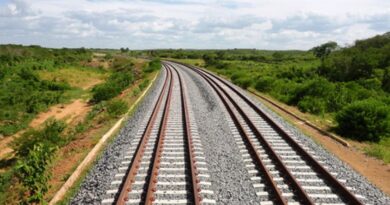 Trem de passageiros no Entorno parece mais próximo da realidade